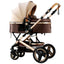 Carucior Bebe 2 in 1