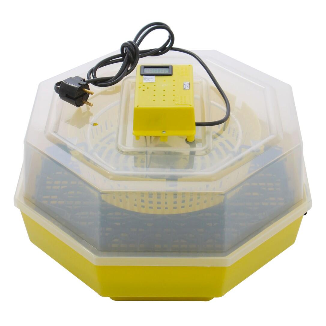 Incubator electric oua (clocitoare) cu dispozitiv de intoarcere si termometru Cleo 5DT, 230 V, 41 oua capacitate, 38°C temperatura incubare Imagine principală a produsului