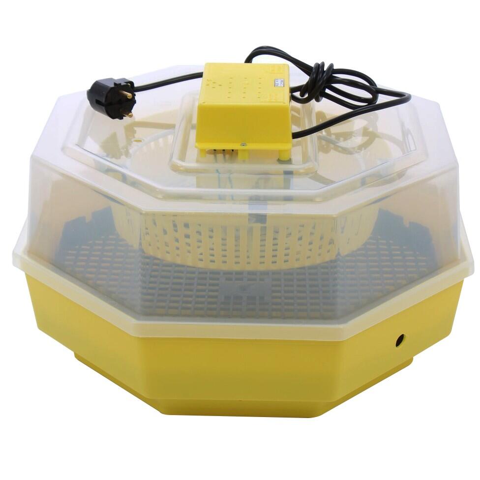 Incubator electric oua (clocitoare) Cleo 5, 230 V, 60 oua capacitate, 38°C temperatura incubare Imagine principală a produsului