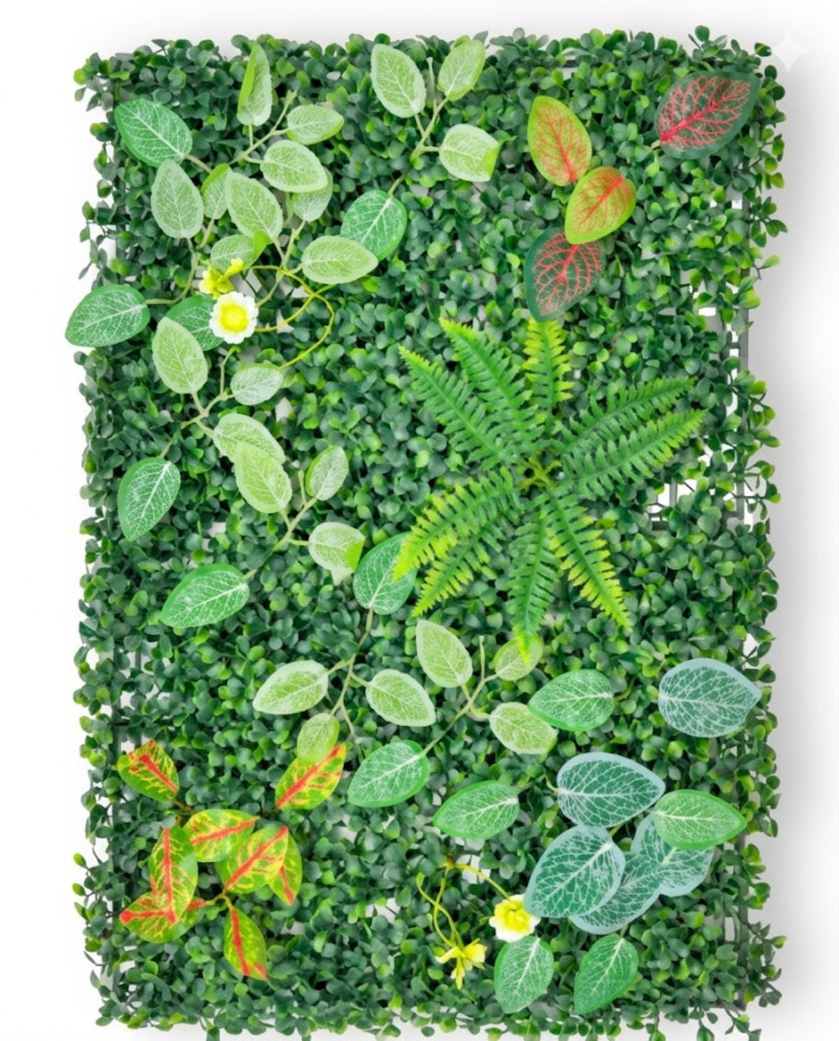 Panou Verde Decorativ Cu Frunze 60x40 cm Imagine principală a produsului