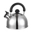 Ceainic din inox cu fluier HAUSBERG HB-H465IN, pentru Plita gaz, ceramica, electrica & inductie, Capacitate 2L