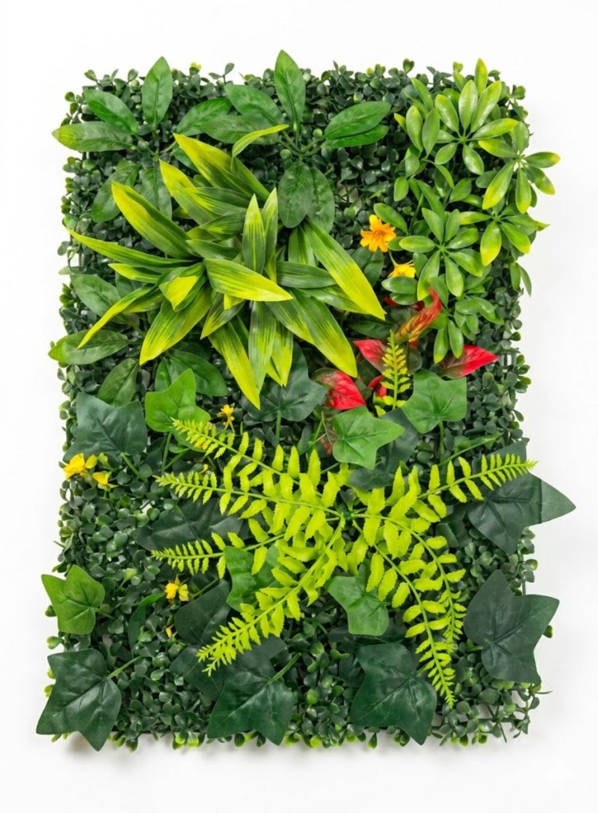 Panou Verde Decorativ din Plante Mixte Artificiale 60x40 cm Perete Verde Interior Imagine principală a produsului
