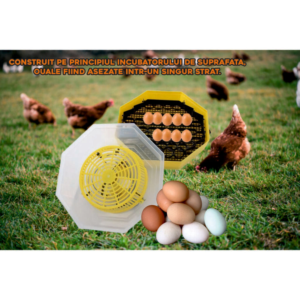 Incubator electric oua (clocitoare) cu dispozitiv de intoarcere Cleo 5D, 230 V, 41 oua capacitate, 38°C temperatura incubare