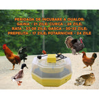 Incubator electric oua (clocitoare) cu dispozitiv de intoarcere Cleo 5D, 230 V, 41 oua capacitate, 38°C temperatura incubare