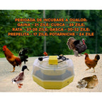 Incubator electric oua (clocitoare) cu termometru Cleo 5T, 230 V, 60 oua capacitate, 38°C temperatura incubare