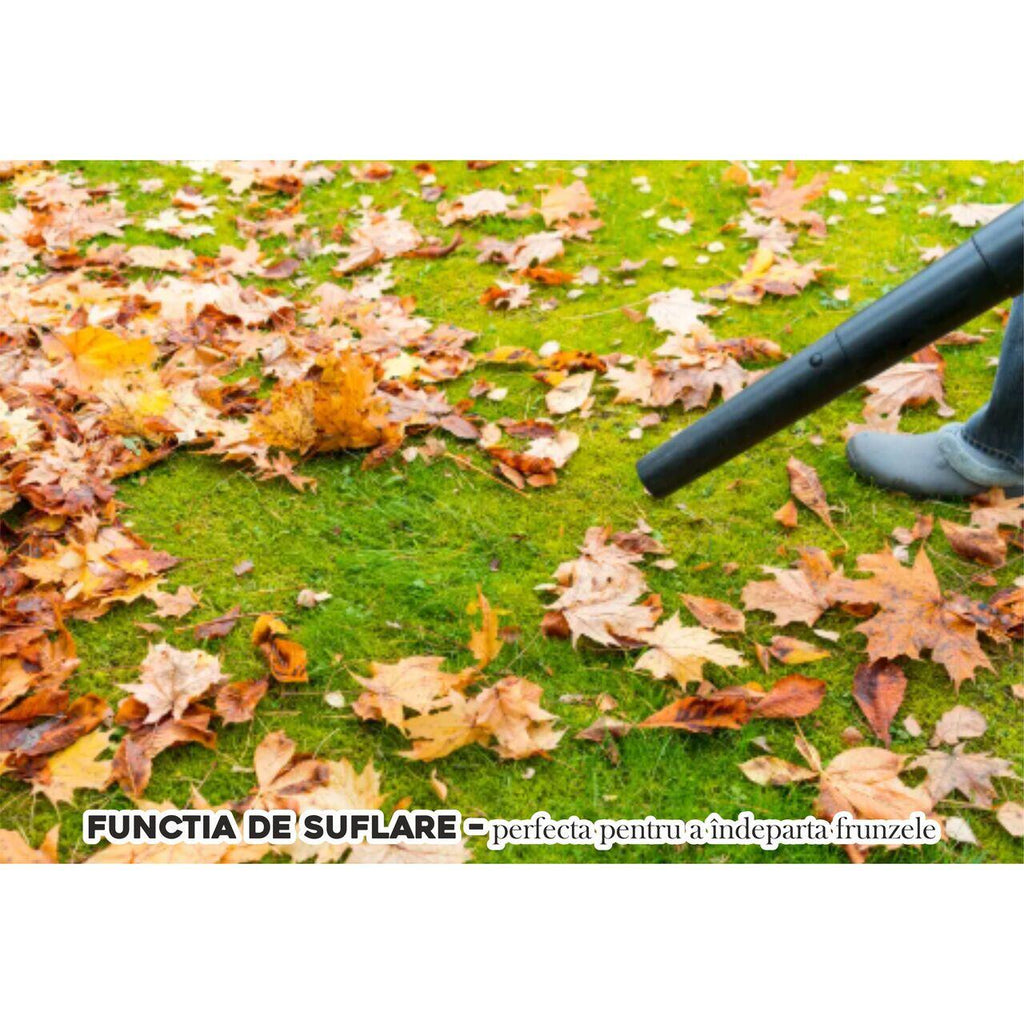 Aspirator cu sac HAUSBERG HB-2837IN, aspirare umeda si uscata, functie suflare, 20 litri, 2000 W