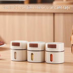 Set 6 Recipiente Condimente cu Suport Magnetic Inox – Organizator Bucătărie