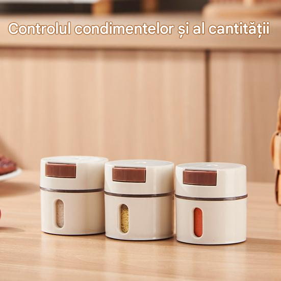 Set 6 Recipiente Condimente cu Suport Magnetic Inox – Organizator Bucătărie