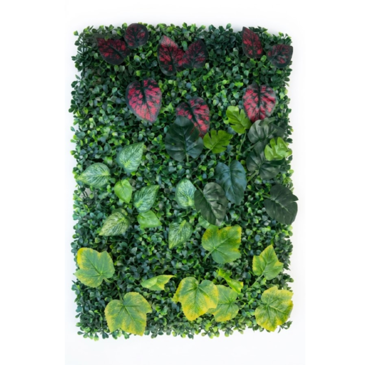 Panou Verde Decorativ Artificial 60x40cm – Mix Buxus & Frunze Bordo Perete Vegetal Imagine principală a produsului